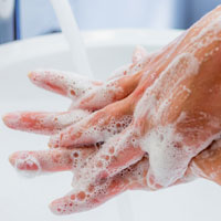 Durch gründliches Händewaschen reduziert sich die Anzahl der Bakterien und Keime auf der Haut.